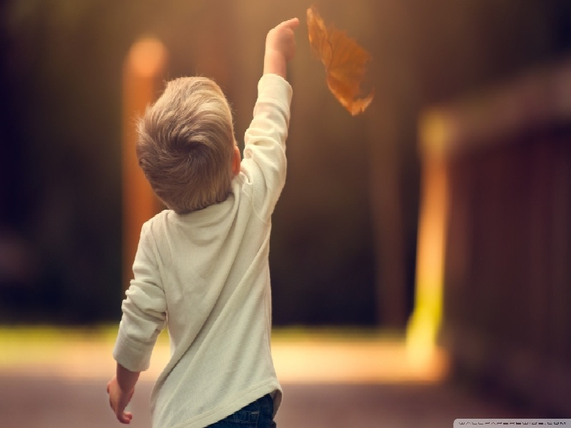 人工受孕手术的费用化学试管操作步骤卵泡太多做试管