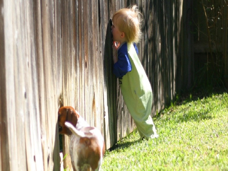 试管中期孕酮16.6试管移植起床累试管促排当月怀孕